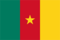 drapeau_cameroun