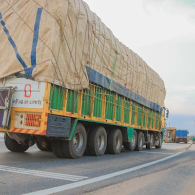 Assistance Technique à la Direction Générale des Routes (DGR) pour la passation des marchés et le suivi de l’exécution du projet de réhabilitation de routes et de facilitation du transport sur le corridor Lomé - Cinkansé - Ouagadougou