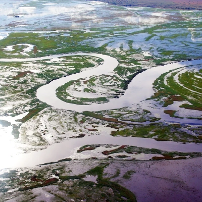 Elaboration d’un plan d’action stratégique pour la Gestion Intégrée des Ressources en Eau du bassin du Congo CICOS