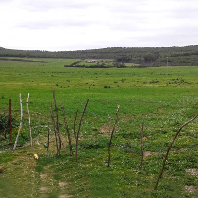 Etude de l'évaluation de l'expérience des Projets de Développement Agricole Intégré (PDAI)