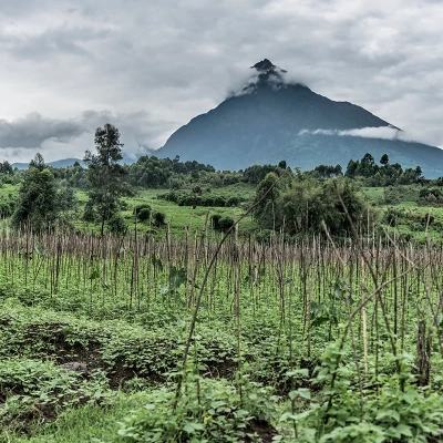 Elaboration of a national policy and a framework law on Land Use planning in the context of the DRC