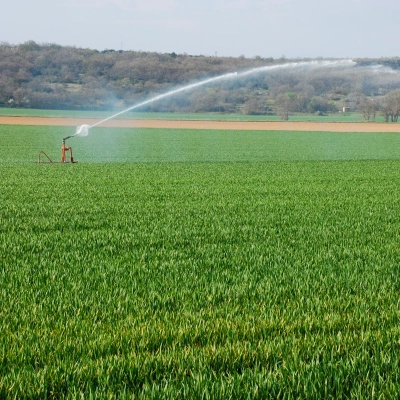 Institutional modernization study  of public irrigated schemes of PIAIT (Project for Intensification of Irrigated Agriculture in Tunisia)